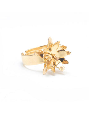 Anillo Dorado con Flor de Linz